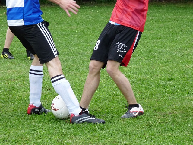 更加全面的 更加全面的