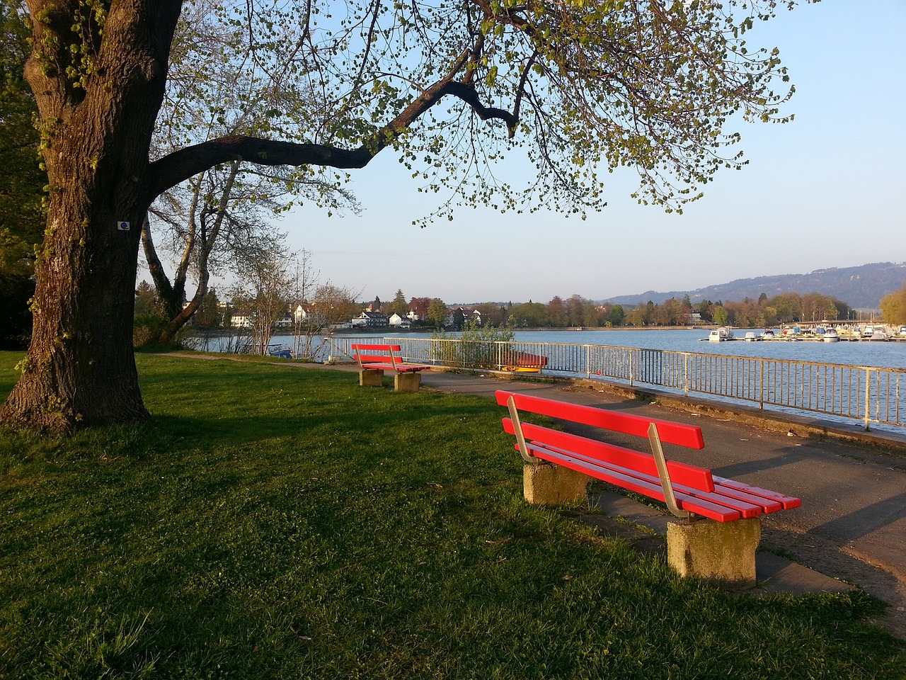 在这种背景 在这种背景