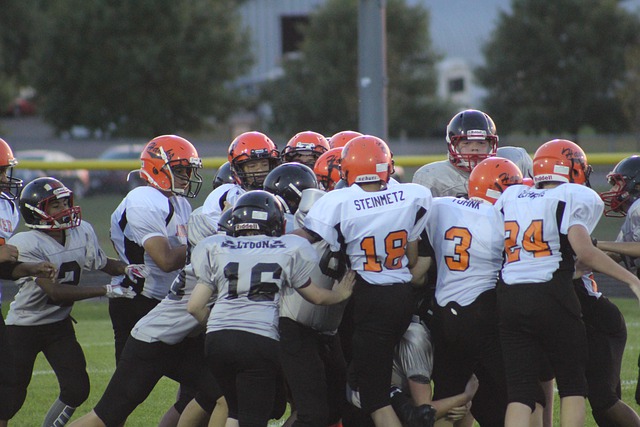 这一安排不 这一安排不