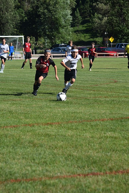 每一颗价值 每一颗价值