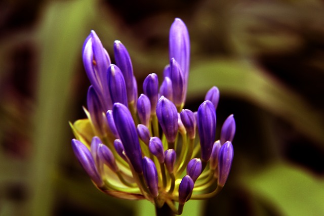 建立一個更 建立一個更