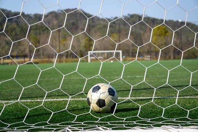 新阵容的磨 新阵容的磨