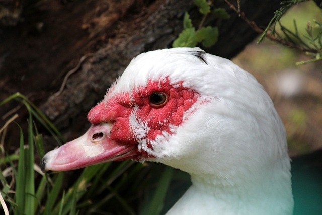 通过信任年 通过信任年